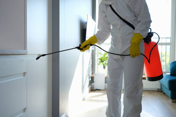 Professional Mold Removal in Slater, MO
