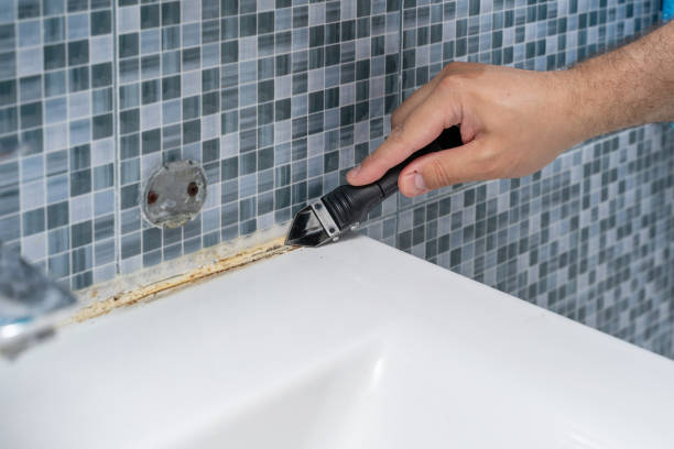 Best Mold Remediation  in Slater, MO