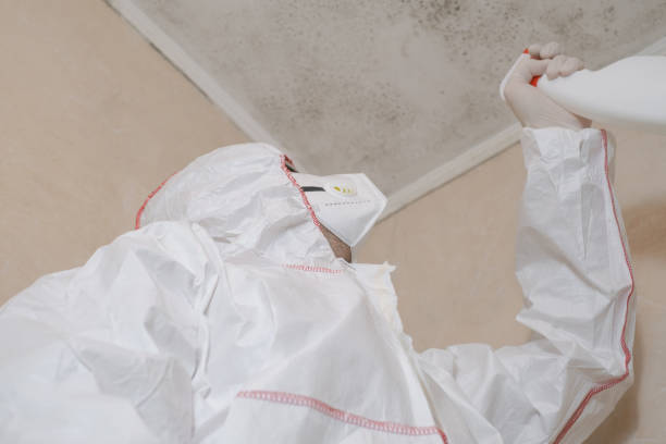 Water Damage Restoration in Slater, MO
