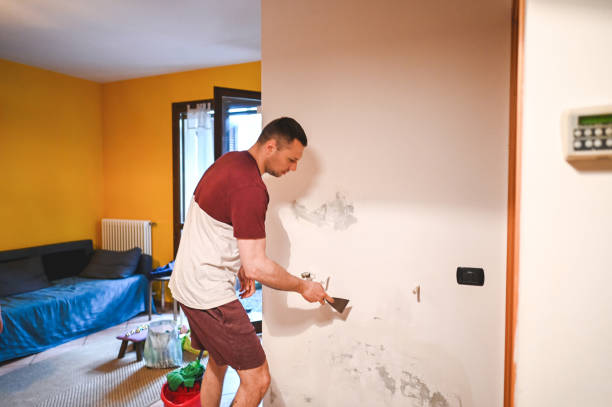 Best Local Mold Removal Service  in Slater, MO