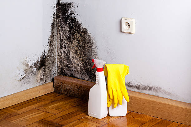Crawl Space Mold Removal in Slater, MO